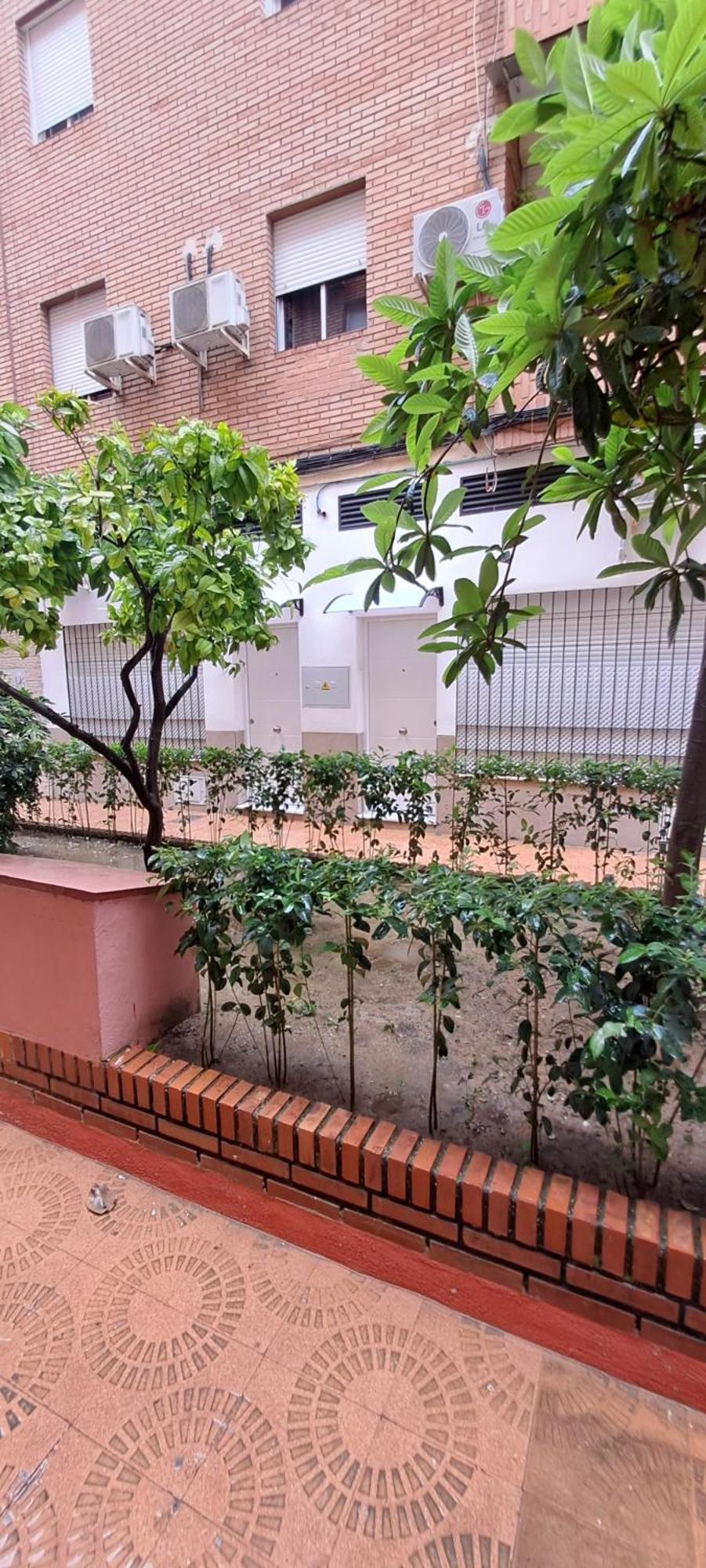 Apartamentos Suite Sol コルドバ エクステリア 写真